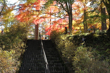紅葉の風景