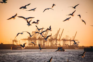 Hafen Hamburg © Thomas Puchinger