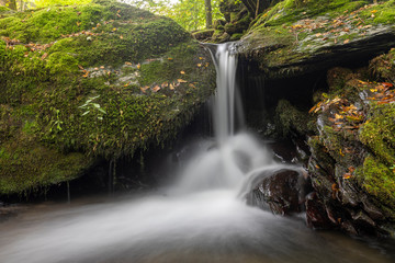 Obraz premium Bach mit Wasserfall im Herbstwald