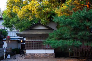 Tokyo, Japan, Ueno Toshogu, a souvenir wooden house on the side is also a historic building