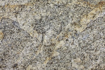 Dark brown marble flooring