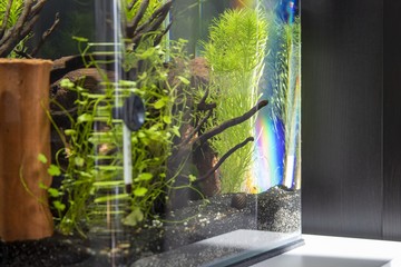 Aquarium mit Regenbogen-Reflektion