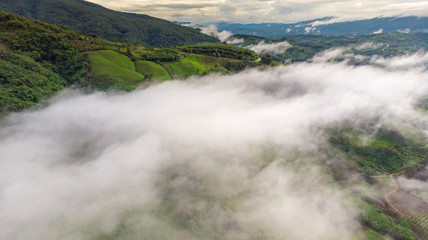 aerial view of river