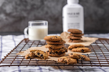 Chocolate chip cookies on rustic background