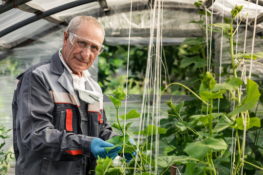 male scientist examines and writes to the clipboard while studying plants in a greenhouse.