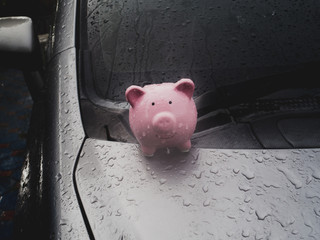 Pink piggy bank standing on the car with rain. despite obstacles Saving money for future plan and...