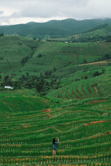rice terraces in vietnam