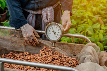 spices in the market