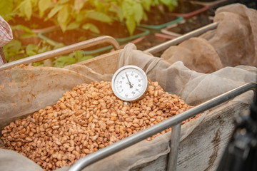 spices in market in india