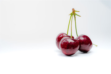 Red cherry with stalk isolated on white background. Ripe red sweet cherry. Sweet and juicy organic cherry. Fresh fruit for summer dessert. Antioxidant food. Healthy snack.