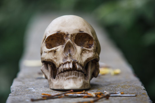  The skull of a man lies on a stone fence, close-up. Horrors in an abandoned house on Halloween