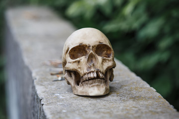  The skull of a man lies on a stone fence, close-up. Horrors in an abandoned house on Halloween