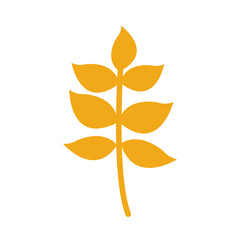 autumn leafs plant seasonal isolated icon
