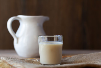 Oat milk in glass. Alternative lactose free vegan friendly plant milk. Copy space