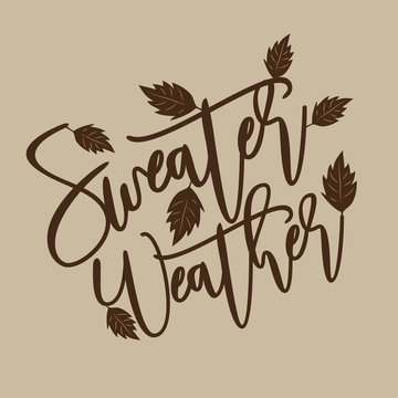Sweater weather - autumnal thanksgiving handwritting text, with leaves. Good for greeting card and  t-shirt print, flyer, poster design, mug
