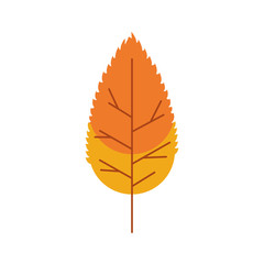 autumn leaf plant seasonal isolated icon