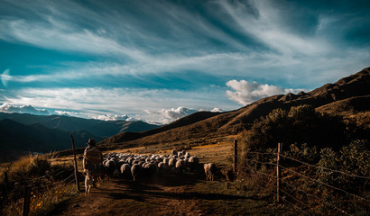 Pastora bajando de la montaña.