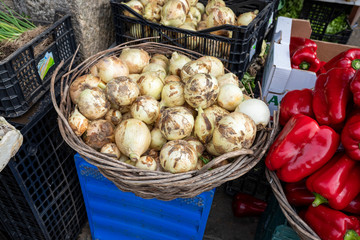 Cebollas recién cosechadas en el mercado municipal de Santiago de Compostela. Galicia, España.