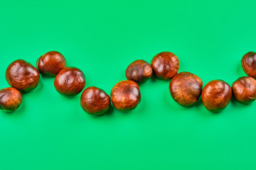 Obraz premium Chestnut seed wave