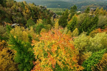 Obraz premium Autumn landscape - all beautifully colored