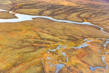 Photographing from a helicopter in the Arctic. Autumn nature landscape of the northern tundra. The landscape of many lakes, rivers, variegated mosses and lichens. Gloomy autumn sky.