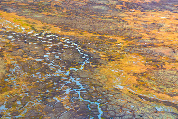 Photographing from a helicopter in the Arctic. Autumn nature landscape of the northern tundra. The landscape of many lakes, rivers, variegated mosses and lichens. Gloomy autumn sky.