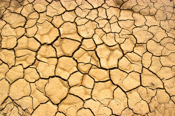 The ground is brown caused by drought