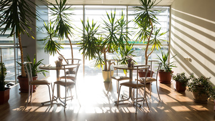 restaurant tables and many beautiful flowers