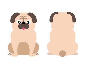 Vector illustration of funny cartoon dogs breeds set. Pug dog.