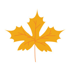 autumn maple leaf plant seasonal isolated icon