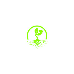 tree with root logo template