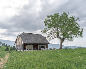 Fototapeta premium Old Shack in the mountains