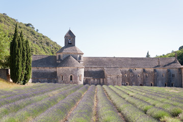 Sénanque Abbey France