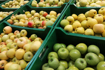 Organic apples in plastic boxes in the supermarket are sorted by varieties. fresh apples store background. Fruits in the pallets in the organic shop