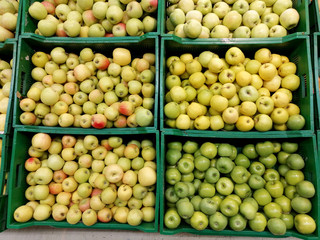 Organic apples in plastic boxes in the supermarket are sorted by varieties. fresh apples store background. Fruits in the pallets in the organic shop
