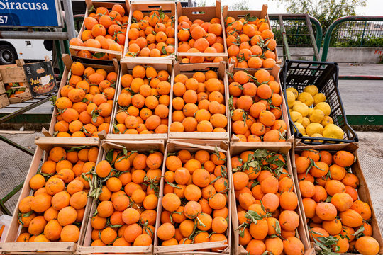 Harvest of oranges in a wooden cart for sale on the market. Mediterranean foofd culture, fresh fruits in the market on the street.