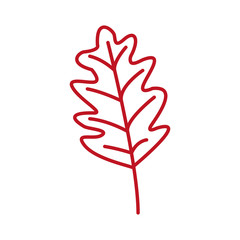 autumn leaf plant seasonal isolated icon