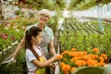 Naklejka na ściany i meble Grandmother and her grandchild enjoying in the garden with flowers
