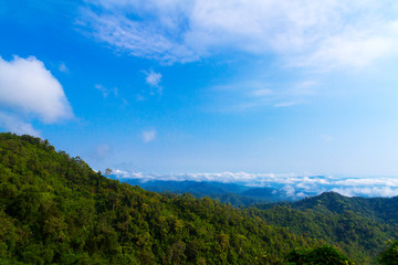 Fototapeta na wymiar Tree and sky beautiful with mountain