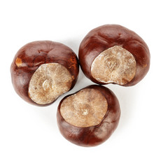 chestnuts on a white background