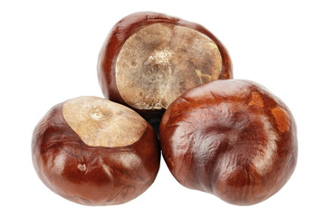 three chestnuts isolated