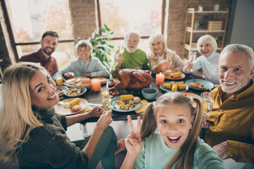 Fototapeta na wymiar Cheers. Photo of big family sit feast dishes table roasted turkey multi-generation relatives shooting selfies showing v-sign raising wine glasses in living room indoors