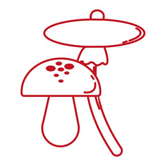 fungus autumn seasonal isolated icon