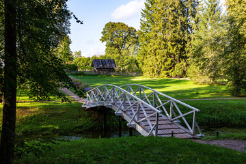 bridge in the park