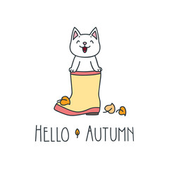 Hello autumn. Doodle illustration of happy white cat sitting in the rubber boot isolated on white background. Vector 8 EPS