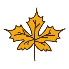 autumn maple leaf plant seasonal isolated icon