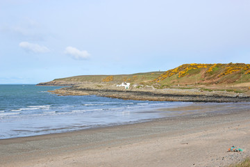 Fototapeta na wymiar Beach in Galloway, Scotland