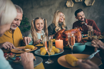 Portrait of nice lovely cheerful glad positive big full family eating lunch brunch luncheon...