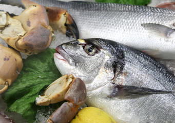 fresh sea bream also called Orata