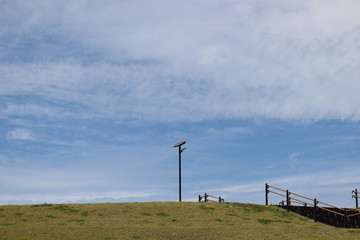 空と木